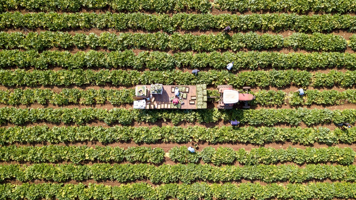 CAMPAGNA STRAORDINARIA DI VIGILANZA SUL CAPORALATO E SFRUTTAMENTO MANODOPERA NEL SETTORE AGRICOLO